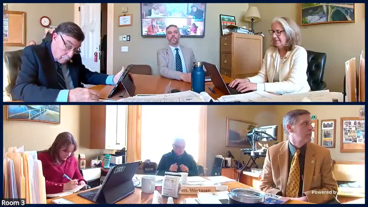 Senate committee debates statutory definition and limits for 'mini trucks'