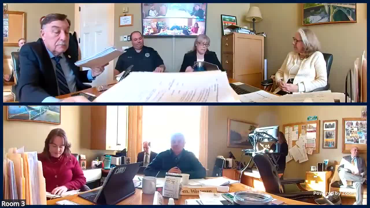 DMV lawyers tell Senate panel proposed emergency-driver language leans on federal rule to allow non-CDL operation during declared emergencies