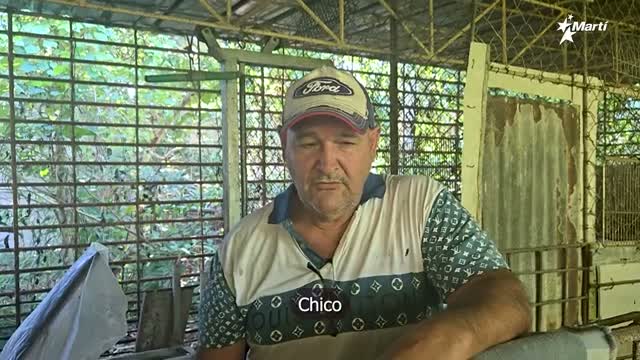 Unidentified resident tells Office of Cuba Broadcasting they want freedom in 2026, blames Partido Comunista de Cuba