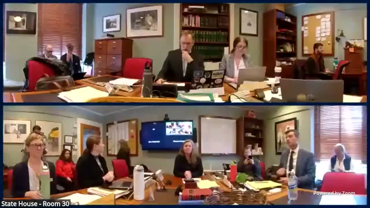 Lawmakers weigh H.578 changes to animal‑seizure timelines as shelters warn of collapse