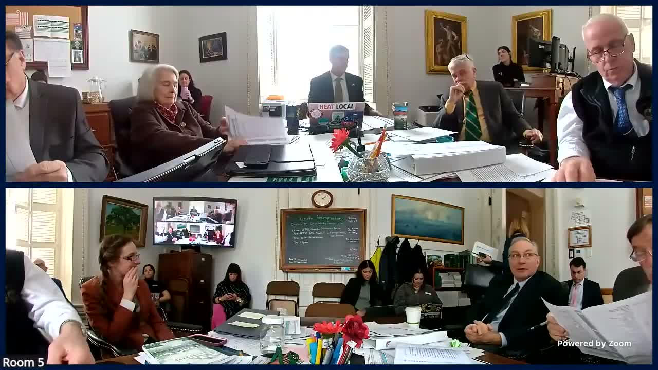 Appropriations committee reviews multiple line items: DA cash-flow, Section 8 accounting, Medicaid codes and recovery center grants