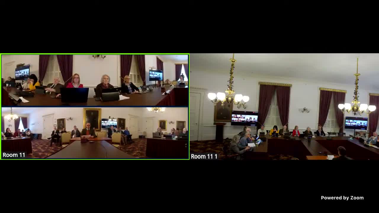 Rural Vermont hospitals describe local cuts, workforce steps and stronger partnerships to sustain access