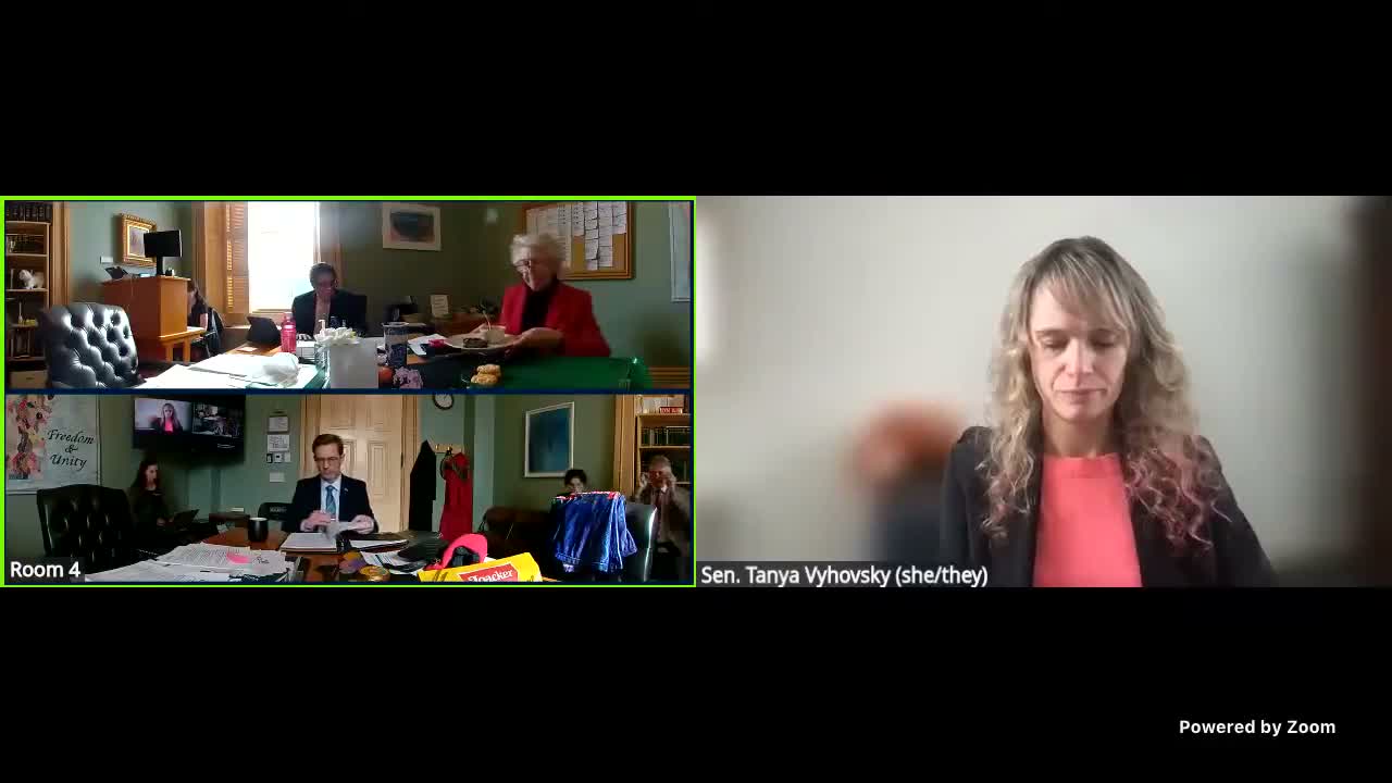 Senate committee hears bill to create Vermont Voting Rights Act, adds language assistance and new election-interference offenses