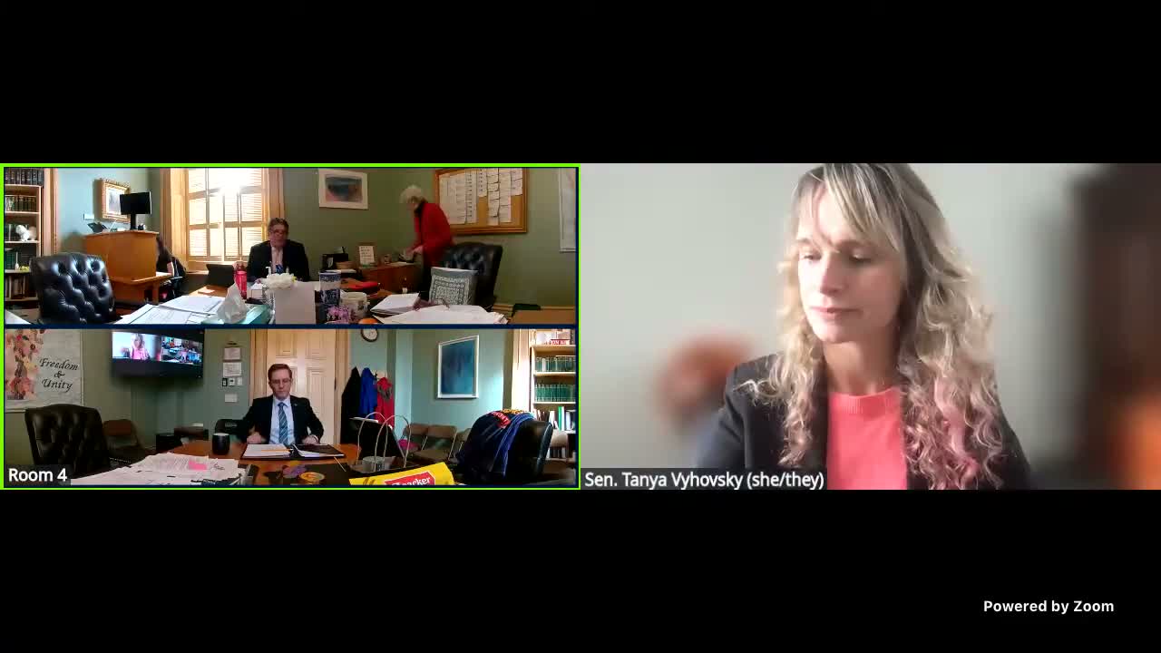 Senate committee hears S.291 to require disclosure of official travel funded by outside sources