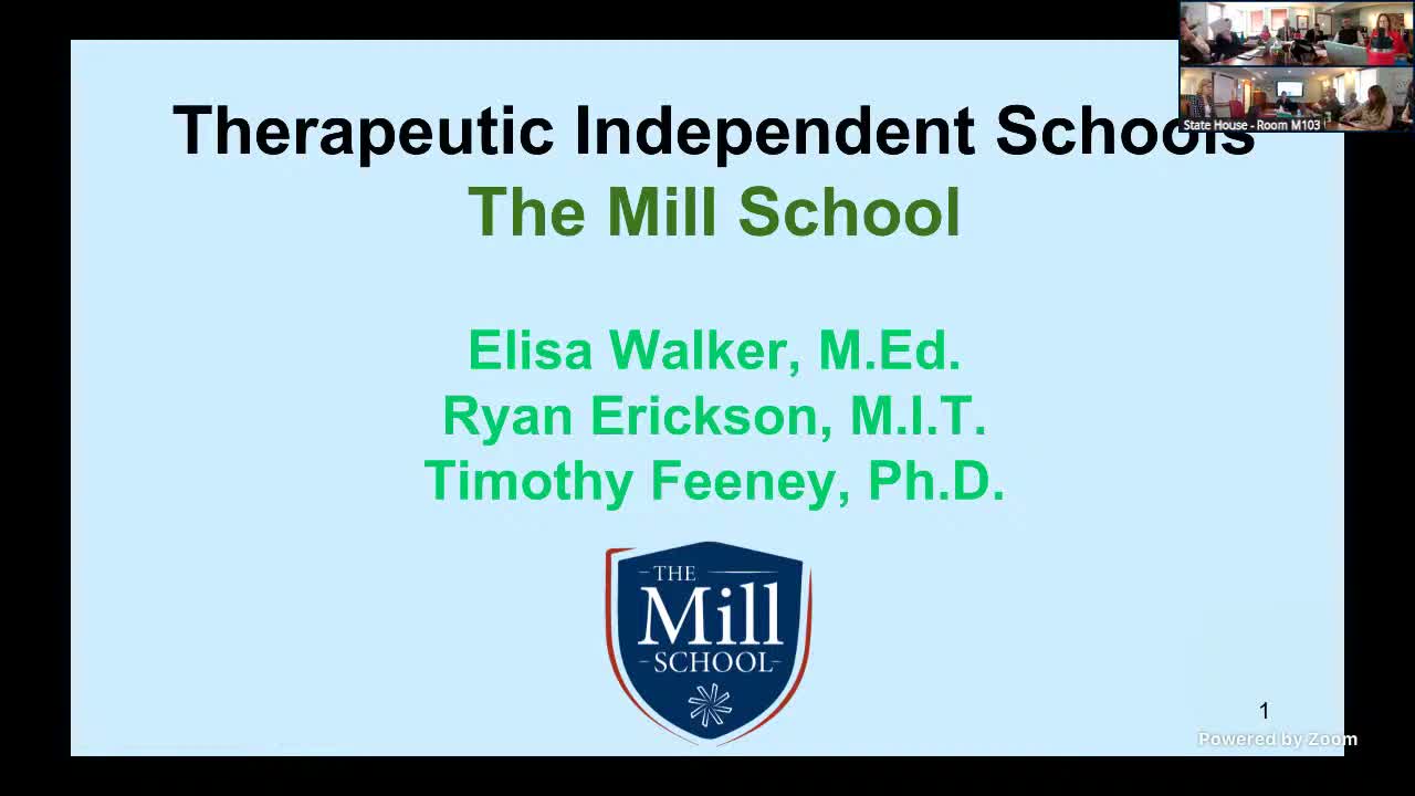 Therapeutic independent schools tell House panel they fill a 'missing middle' for high‑needs students and urge funding predictability
