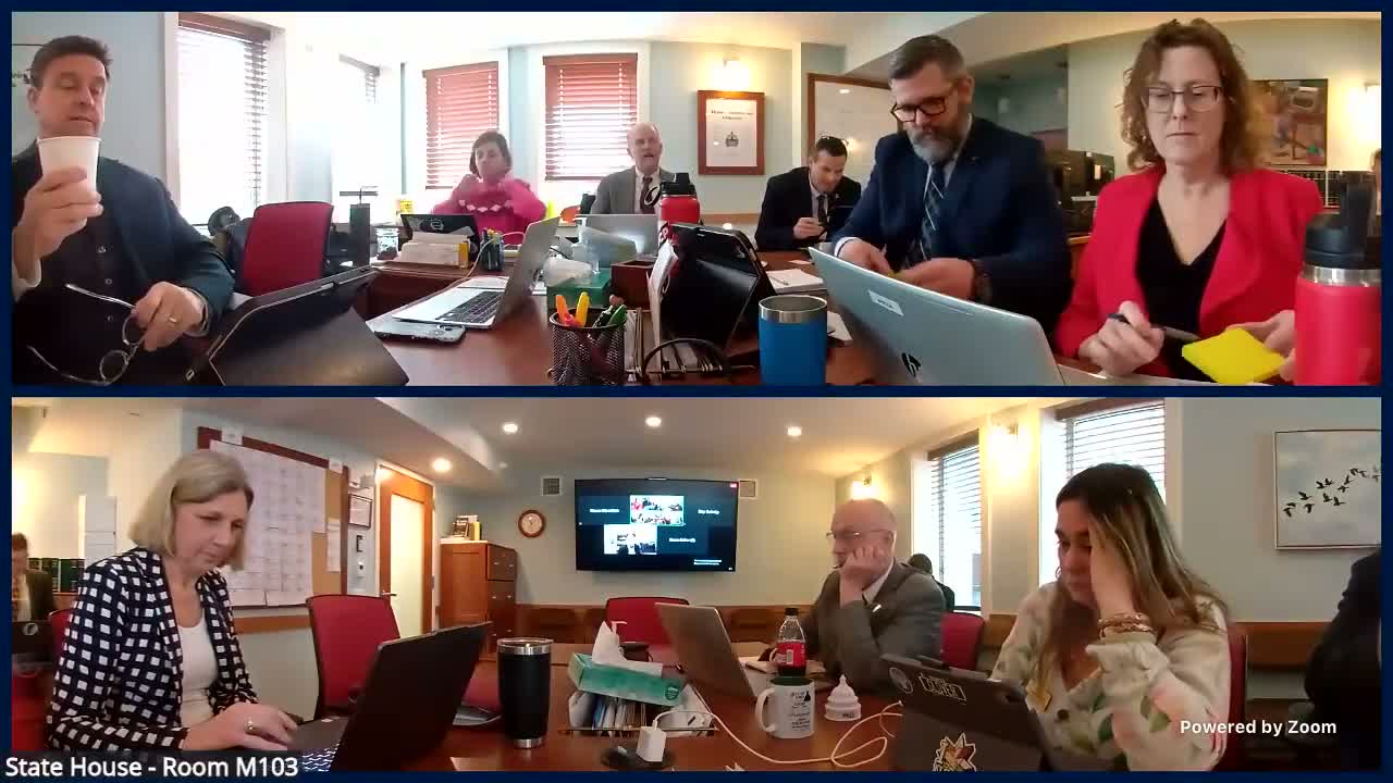 Researcher to House Education: focus on school size, not just district lines, to curb per-pupil costs