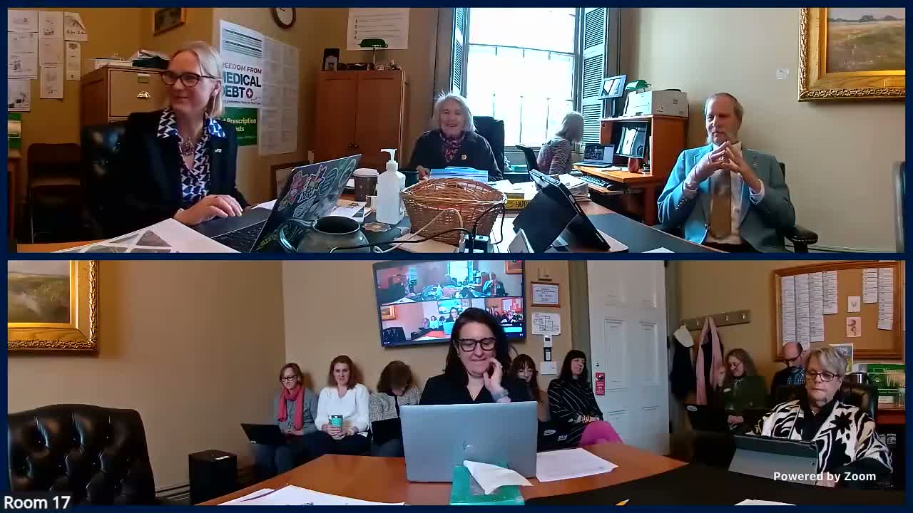 Senate Health & Welfare reviews budget-adjustment changes for health services, flags transport and nursing-home relief