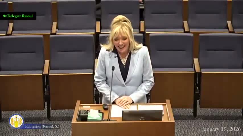 Expert tells House Education Committee Virginia must teach judgment along with AI tools