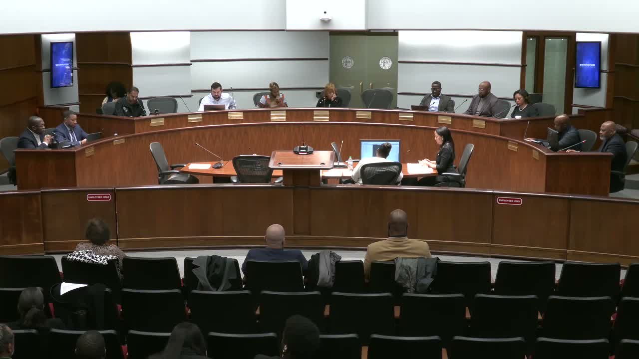 Birmingham City Council confirms Human Rights Commission appointees, re-establishes arts committee