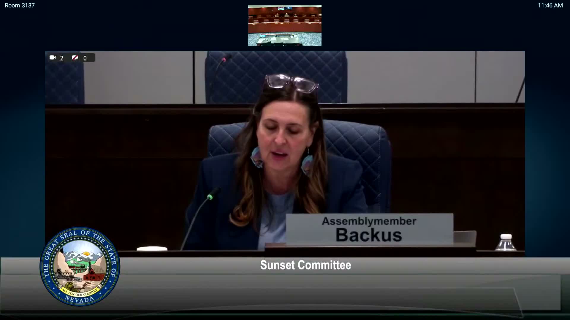 Sunset Committee approves procedural motions, adds Medicaid advisory body to review and delays Board of Applied Behavioral Analysis review