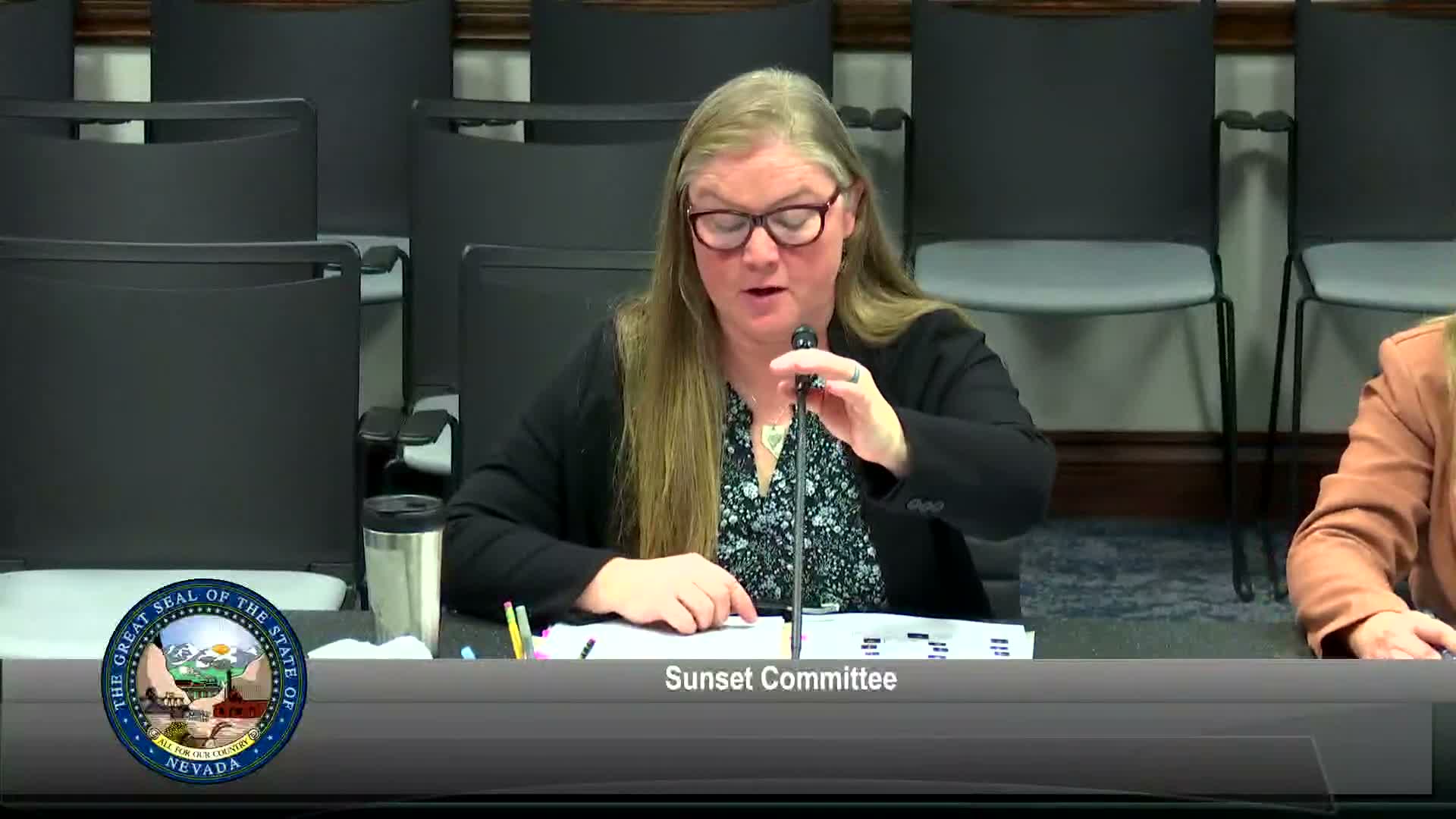 Legislative auditors report improved reporting but note software and late‑filing issues among Nevada licensing boards