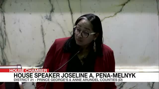 House of Delegates honors Phi Beta Sigma and Zeta Phi Beta during 'Blue and White Night' session