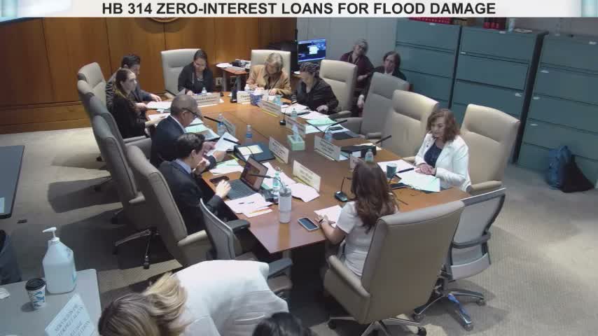 Committee advances bill to offer 0% loans for local storm‑damaged infrastructure