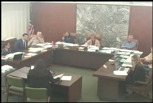 Council approves variances for 410 Saddleback, adds screening condition to address neighbor view impact