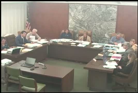 City council unanimously opposes proposed county half‑cent temporary sales tax