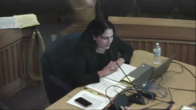 Council approves nuisance‑abatement lien on AutoMax property after contested hearing