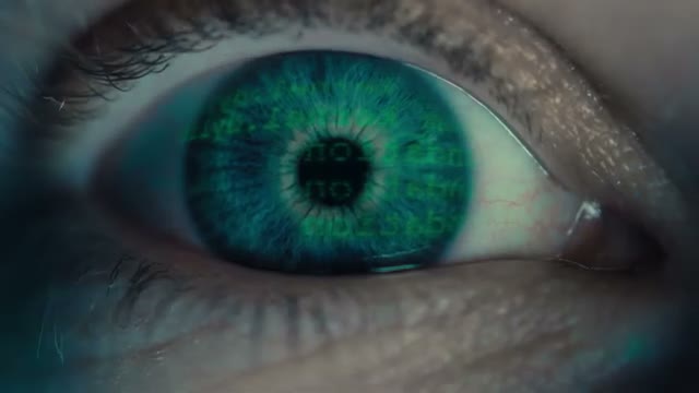 UN-affiliated speaker says AI helps forecast food insecurity, advance Sustainable Development Goals