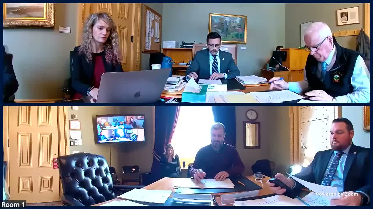 Senate Judiciary hears testimony on bill to speed dismissal of meritless suits against volunteers