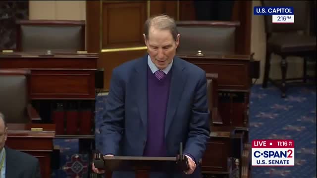 Senator urges Senate to block Treasury rule said to give $10.3 billion in corporate tax relief