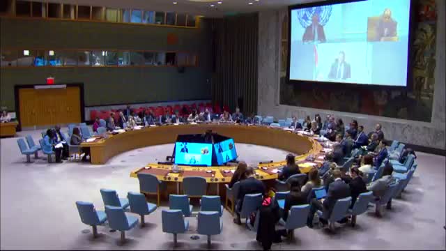 UN warns Security Council of escalating violence, humanitarian collapse in South Sudan