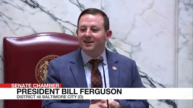 Senate honors libraries and state high-school champions; journals invocation