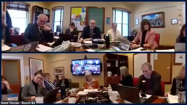 Agency seeks 18‑month extension to complete sale of Caledonia State Airport as FAA guidance holds transfer