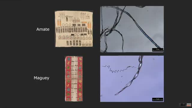 Library of Congress conservator links rare maguey (agave) paper to pulque production