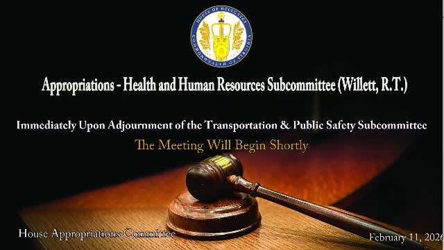 House health subcommittee reports multiple health, maternal‑care and foster‑care bills; several tabled over fiscal concerns