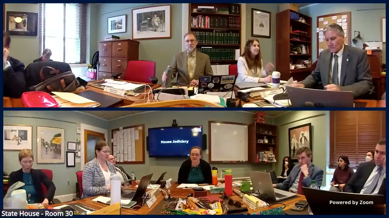 Advocates tell House Judiciary Committee to 'write disability rights into every bill,' urge parental protections and community supports