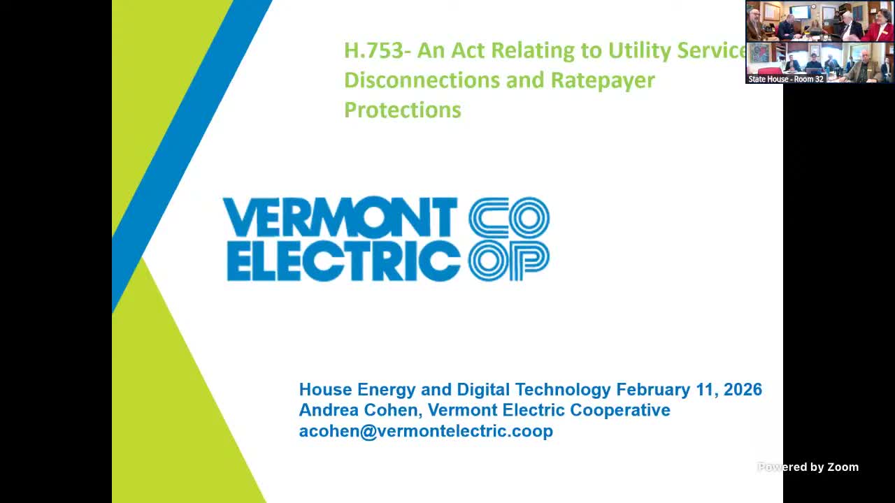 Utilities tell committee disconnections have fallen since 2019; co-ops urge targeted assistance over blunt metrics