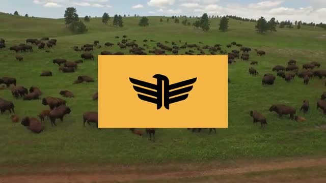 ineligible - feature documentary