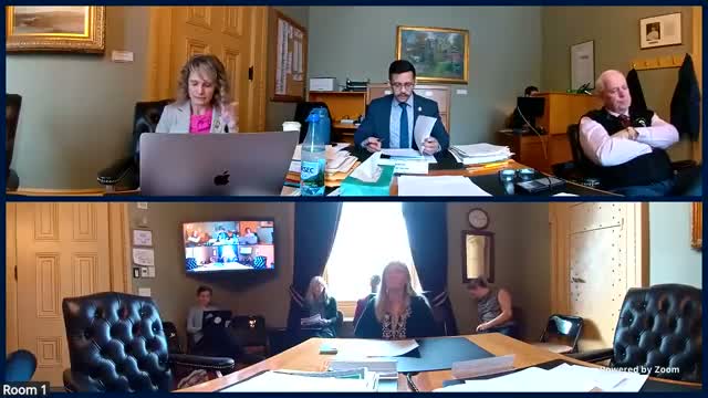 Senate Judiciary reviews narrow liability protection for vaccine providers in H.545; calls for transparency questions