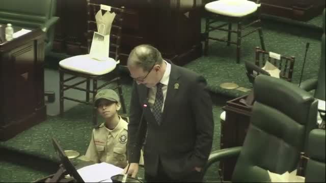 Cámara de Representantes reconoce al movimiento Scout de Puerto Rico en sesión especial