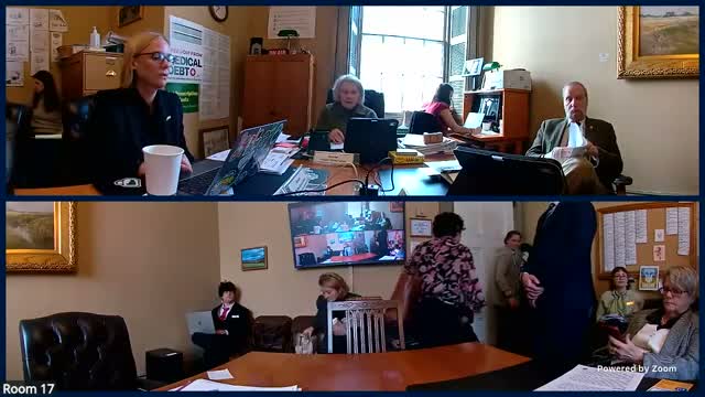 Harvard researcher outlines state options to shore up primary care as Vermont considers S.197