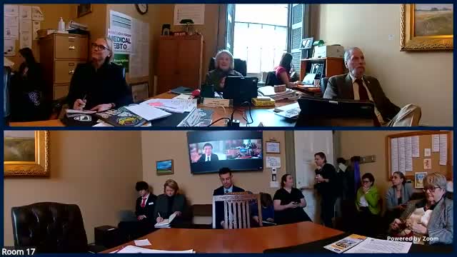 Debate over who should review hospital service cuts — Green Mountain Care Board or AHS — dominates S.189 hearing