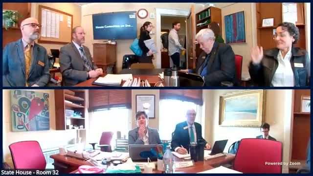 House Energy chair outlines calendar, ENDICAP report and low‑cost option to stand up a summer task force