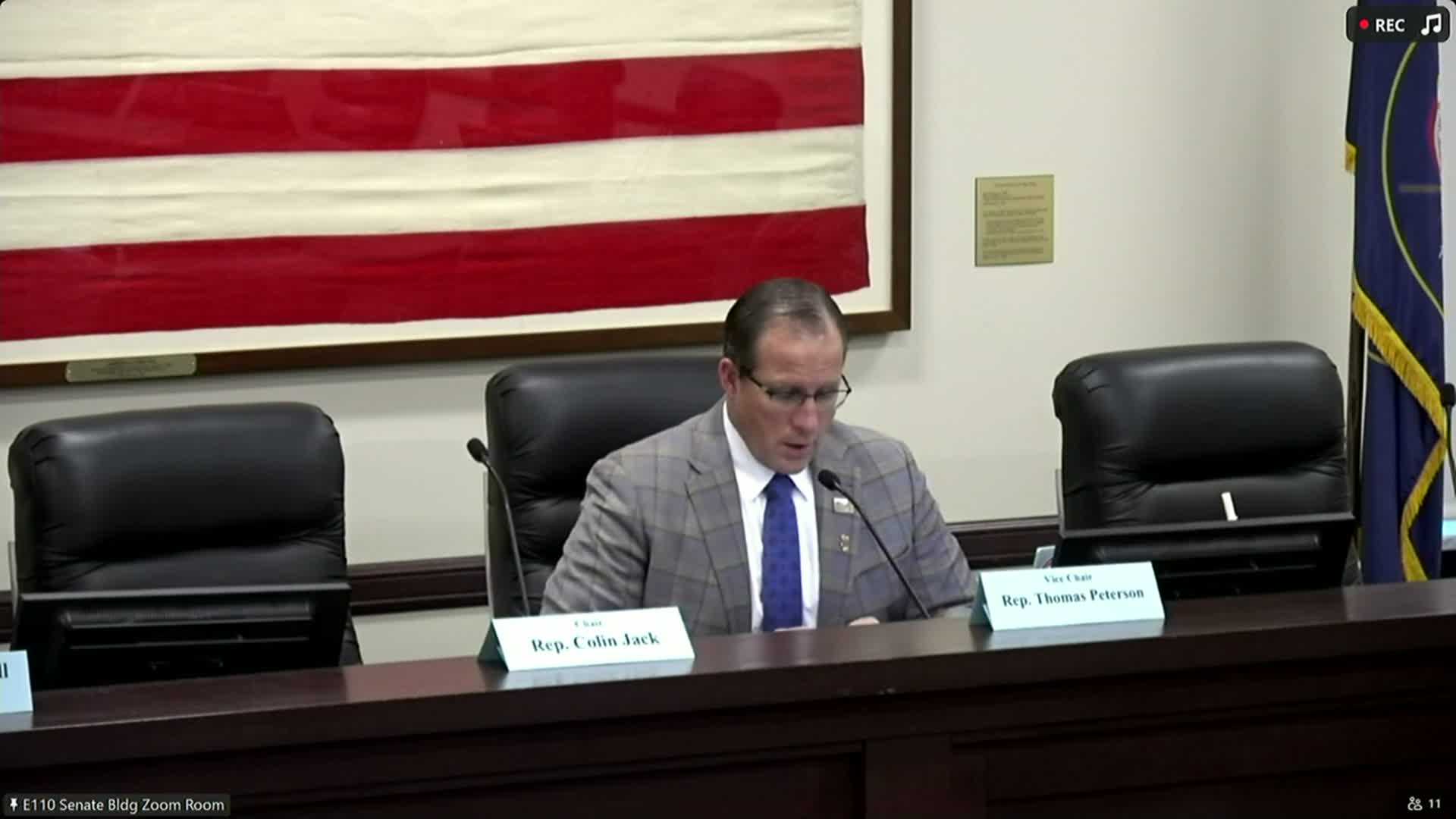 Committee holds bill to clarify concealed‑carry rules at schools and daycares