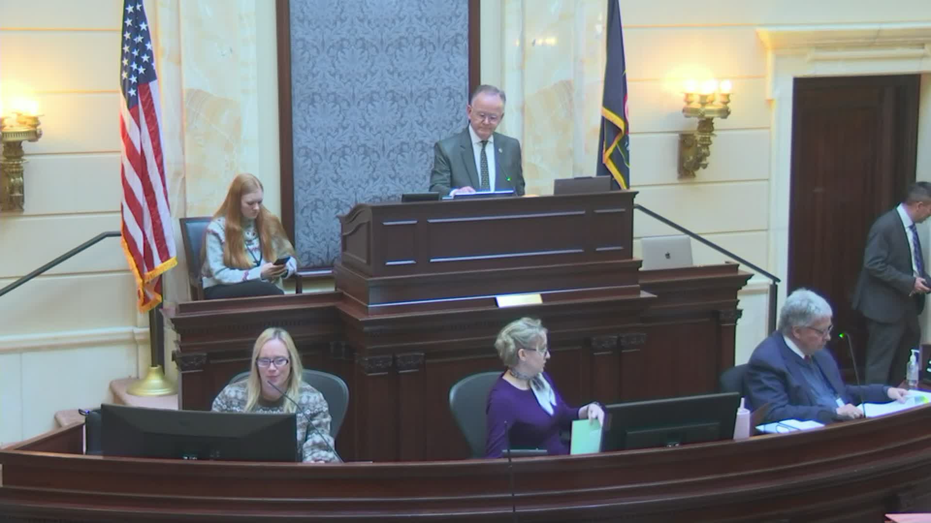 Senate approves substitute for political-sign rules, adds ownership presumption and parking-strip permission