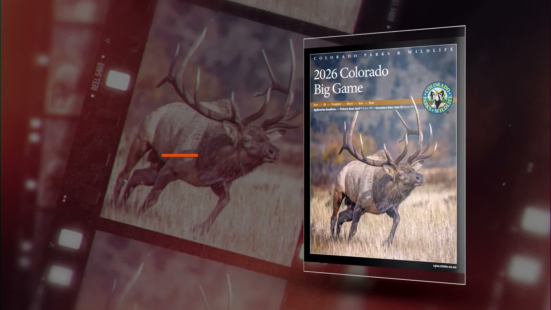 Colorado Parks and Wildlife issues 2026 big game brochure, lists draw deadlines and new rules