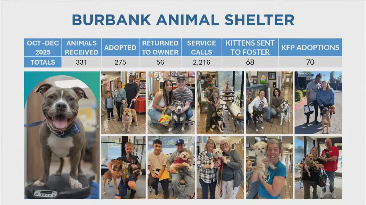 Burbank animal shelter reports 91.4% live‑release rate and adoption numbers for 2025