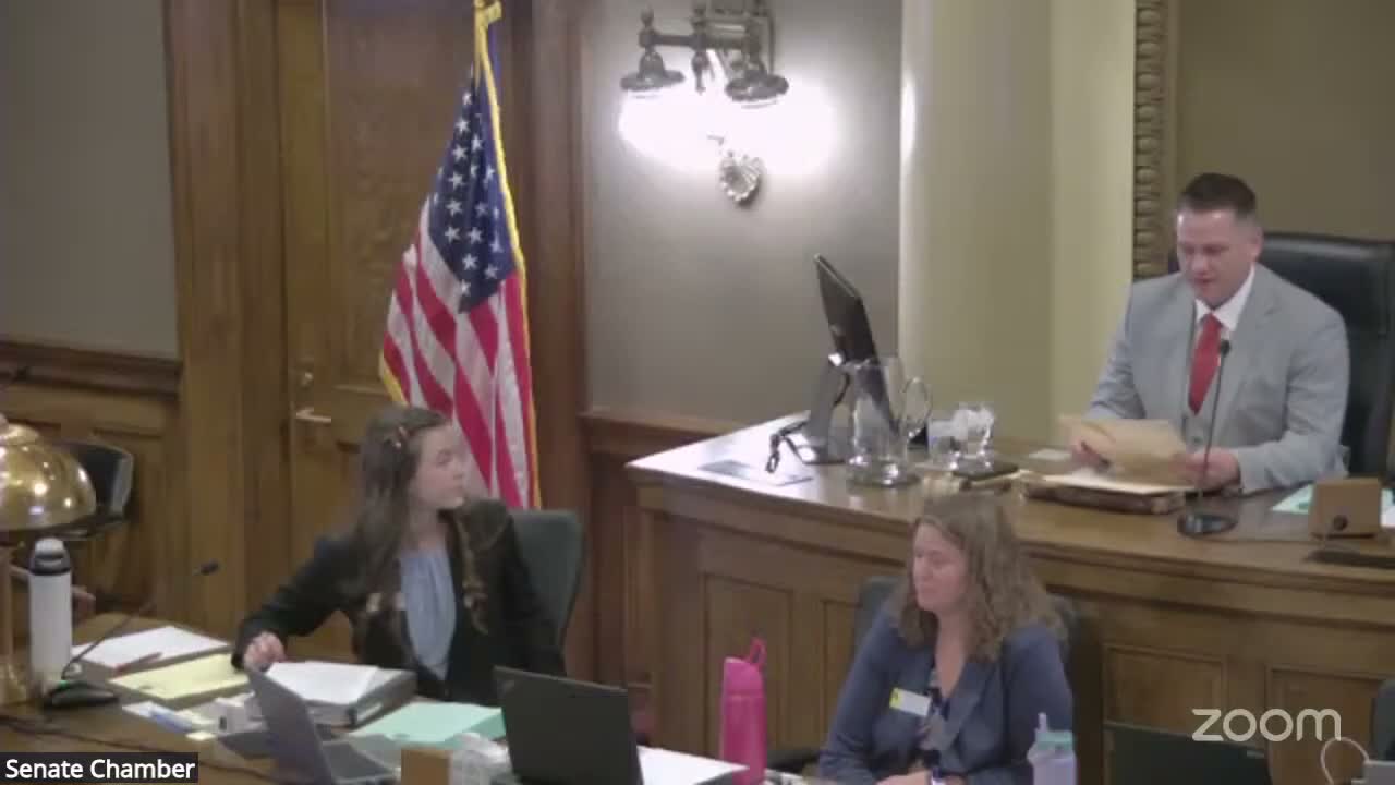 Senate introduces stormwater drainage utility bill; sponsor says fees require voter approval