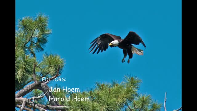 Residents, tribal members and health experts urge halt to Otter Creek coal exports and warn of local harms