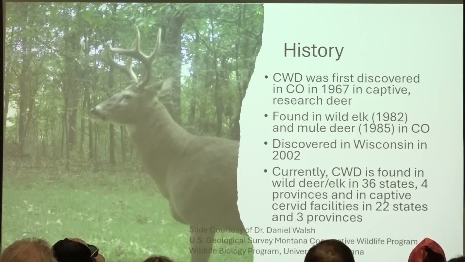FWP, Elk Foundation brief volunteers on chronic wasting disease risks, testing and carcass disposal