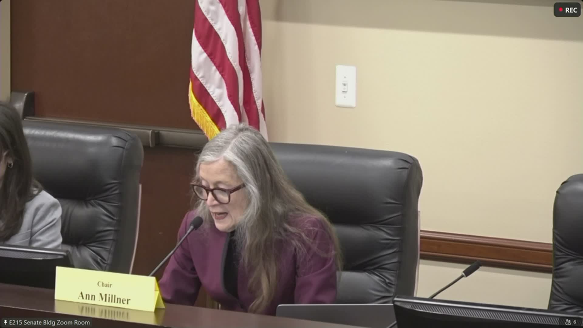 Senate committee advances Child Care Expansion Act to retrofit state space for employee childcare; passes 4–1