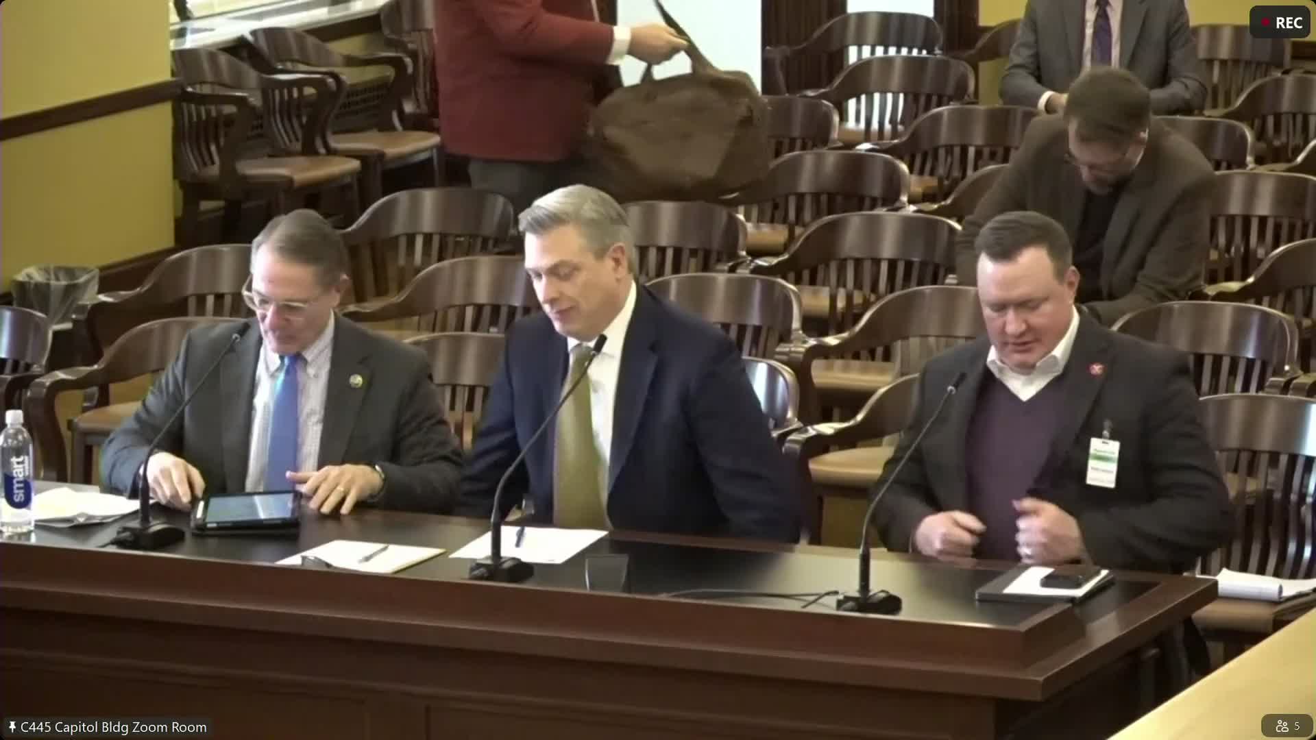 Committee adopts pilot allowing certain mines to pay severance tax in gold