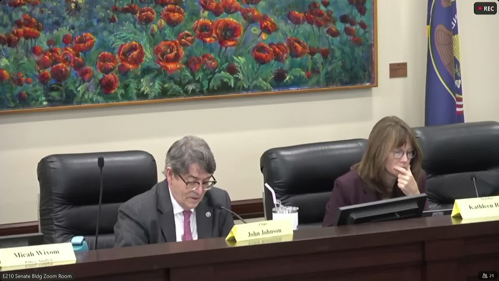 Proposal to expand peer-support mental-health programs prompts debate over existing vendor models