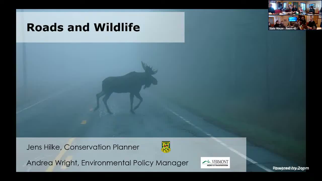 Vermont agencies outline strategy to reduce wildlife–vehicle collisions by resizing culverts, building shelves