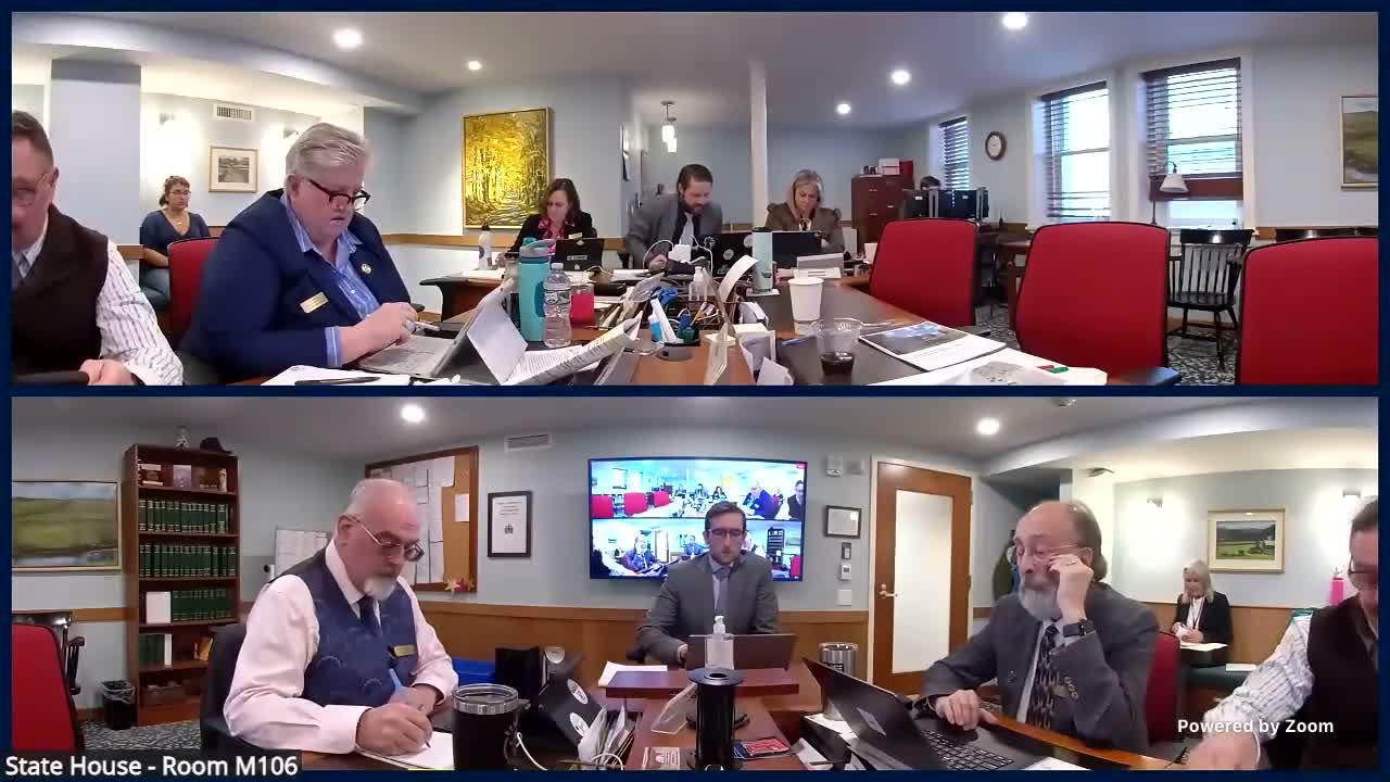 Committee hears testimony on H.514 to clarify minors' ability to change last name with one parent's consent