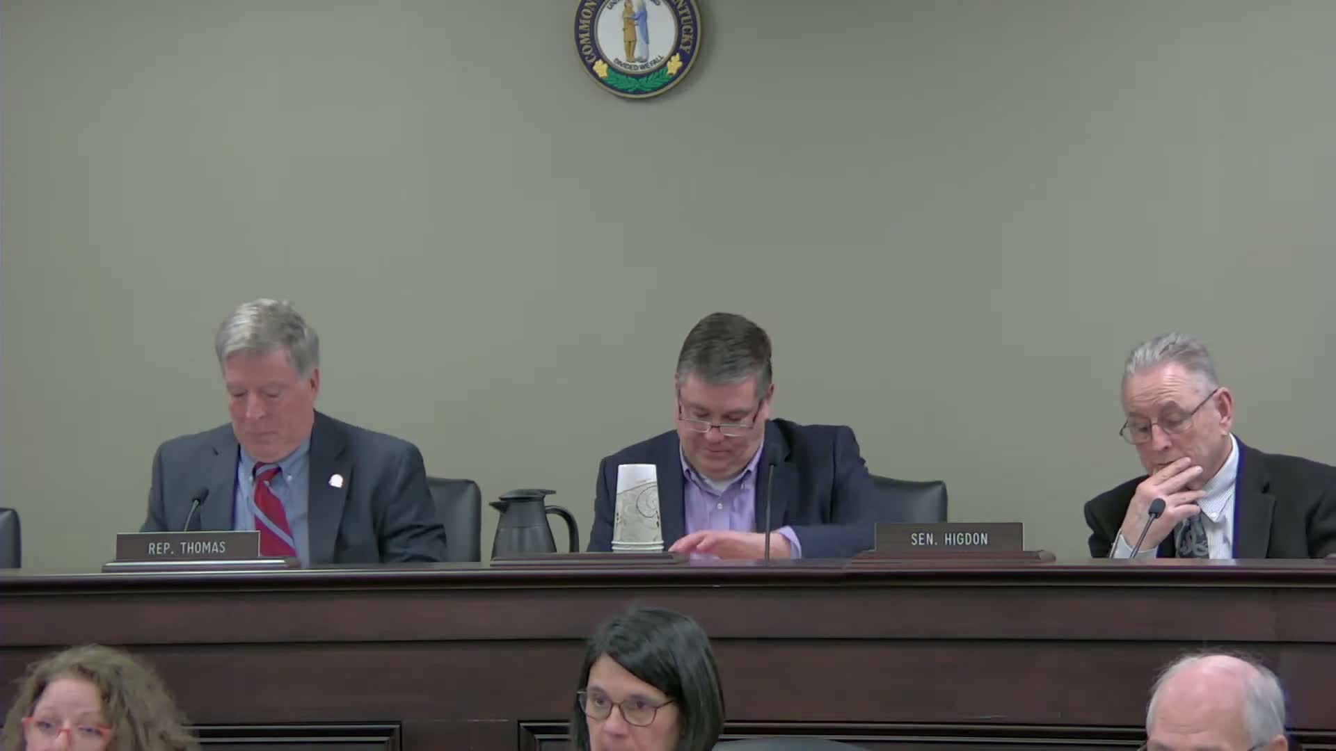 Panel reviews proposal to let probationary hires buy service credit for line‑of‑duty coverage