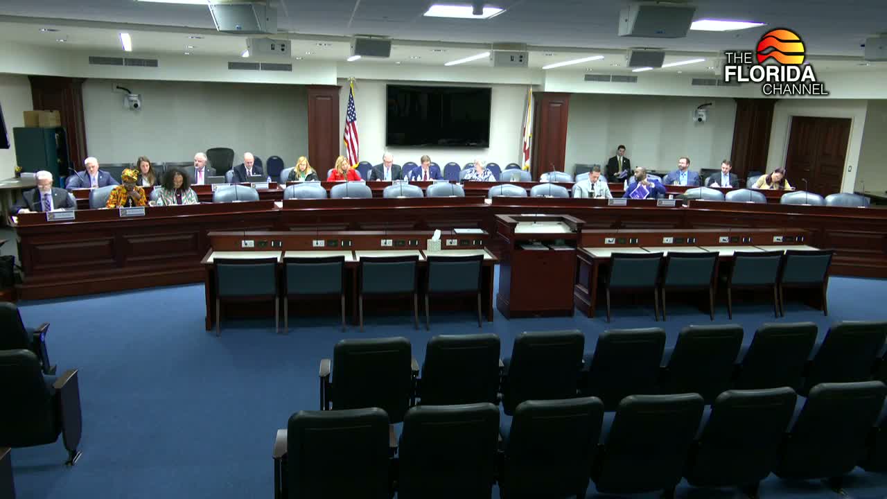 Subcommittee backs consolidation of legislative audit functions, creates Florida Accountability Office